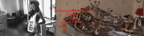прущая мука Алзамай